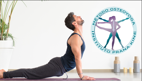 Yoga & Physical Therapy Certification – Método Osteoyoga©