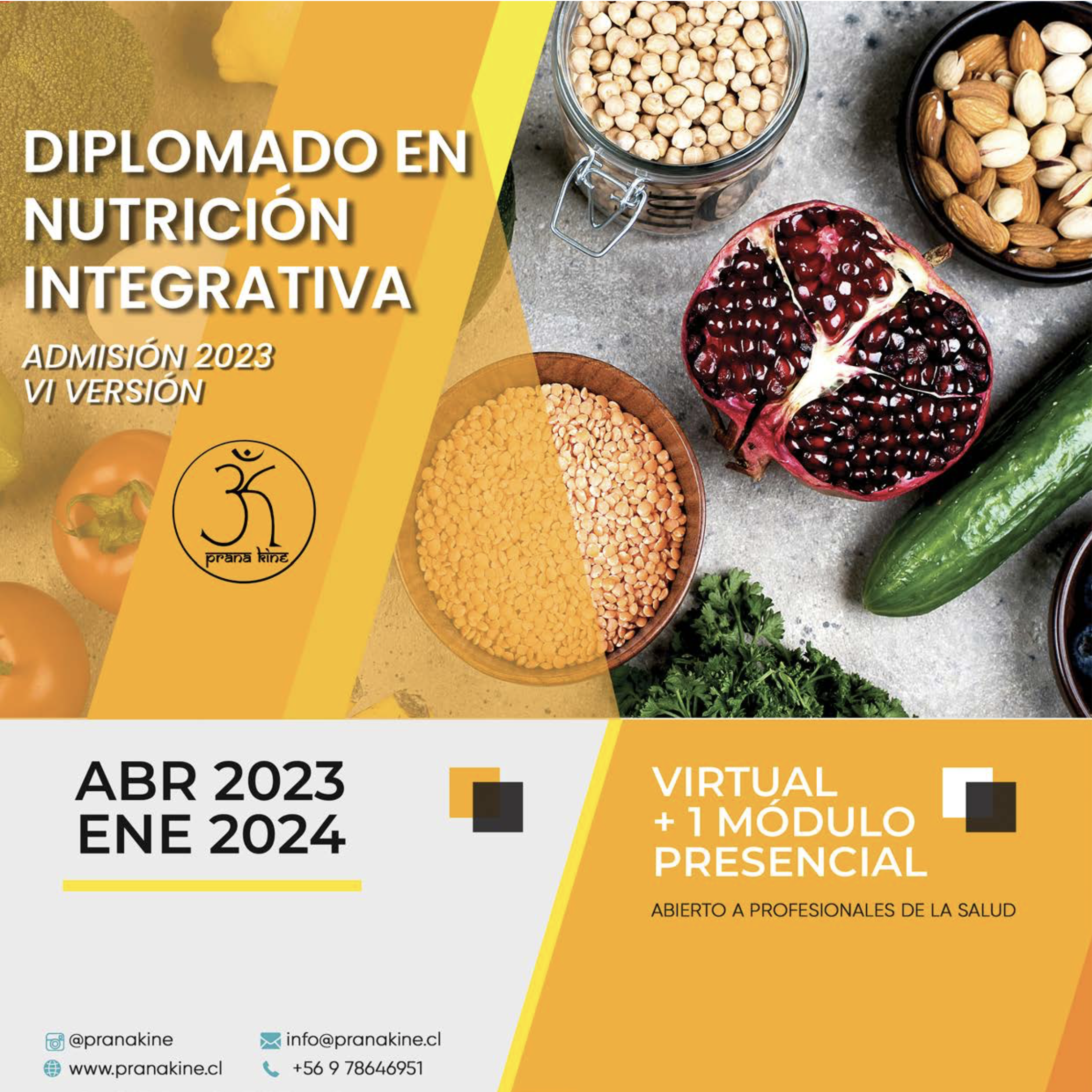 Diplomado en Nutrición Integrativa 2023 (VI Versión)