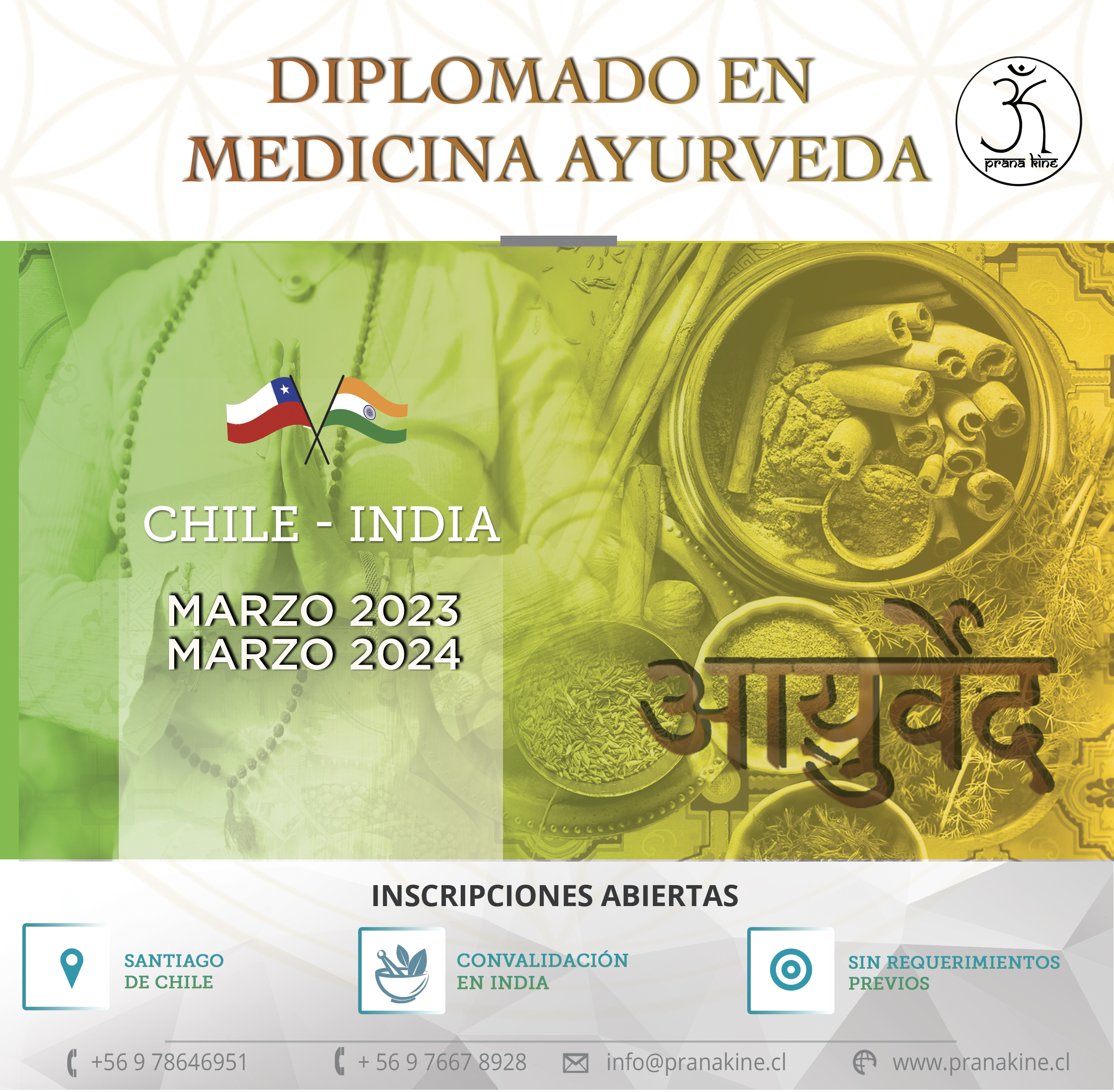 Diplomado en Medicina Ayurveda (IV Versión 2023)